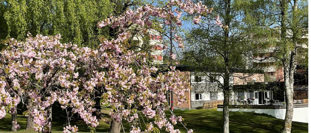 Emma Gjestehus Sandvika  Esterno foto